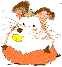 gammo.5.gif (30773 oCg)