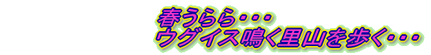 tEEE @@@@@@@@@EOCXREEE