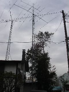 PICT0002.JPG