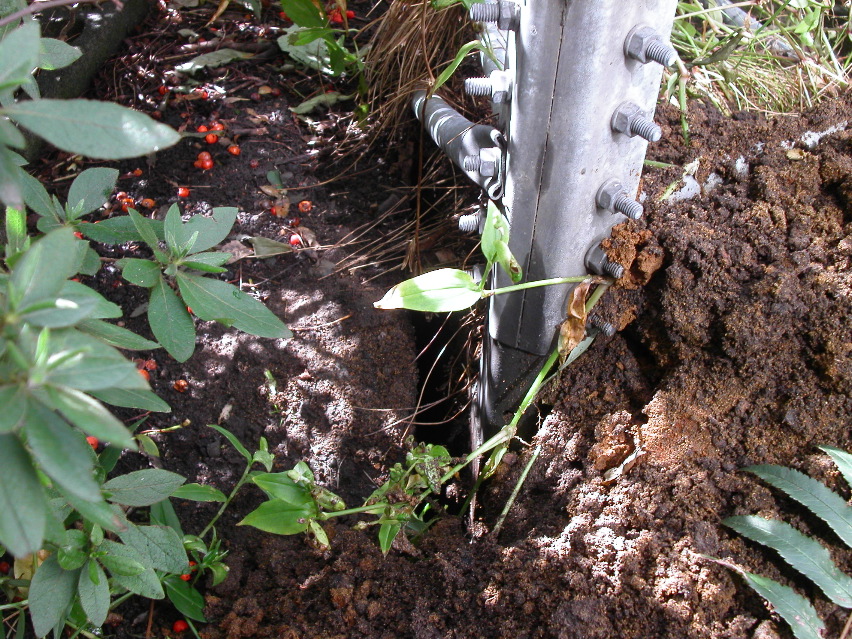 PICT0017.JPG