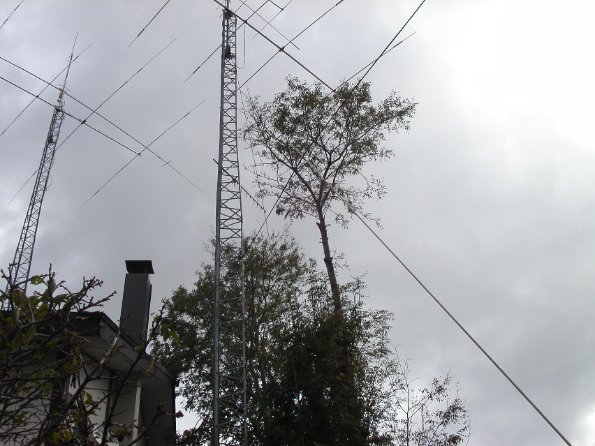 PICT0008.JPG