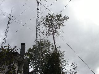 PICT0008.JPG