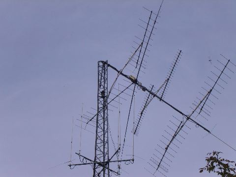PICT0023.JPG