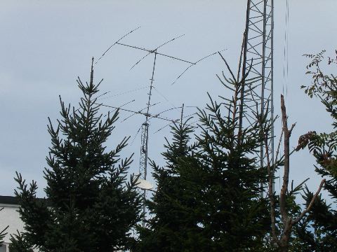 PICT0025.JPG