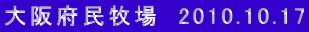 {q@2010.10.17 