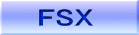 FSX�V�[�i���[ 