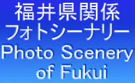 䌧֌W tHgV[i[ Photo Scenery  of Fukui 