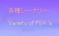 eV[i[ variety of FSX's