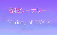 eV[i[ variety of FSX's