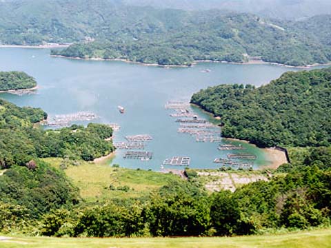 Uranouchi bay