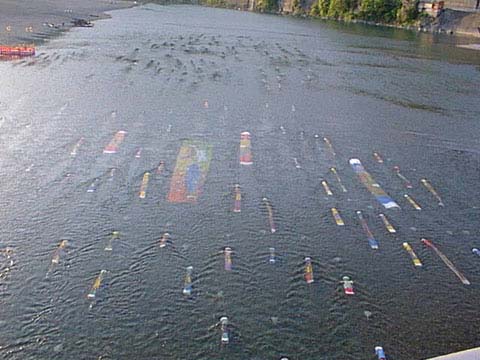 Carp streamer (in the water)