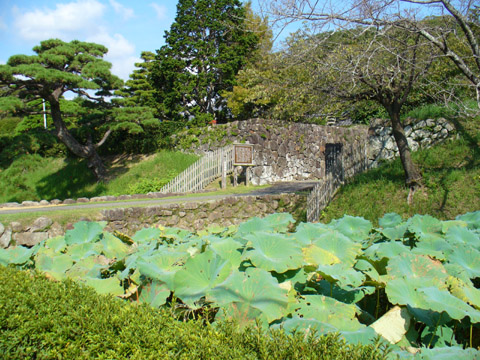 安芸城跡の写真画像