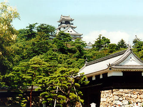 Kochi castle