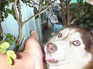 ���r���ł�