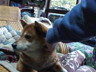 ��ܘY����