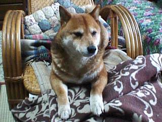 �܂�������