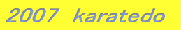 2007 karatedo