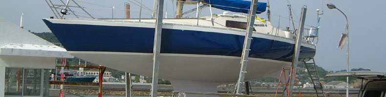 �g�b�v�C���[�W