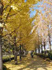 東公園