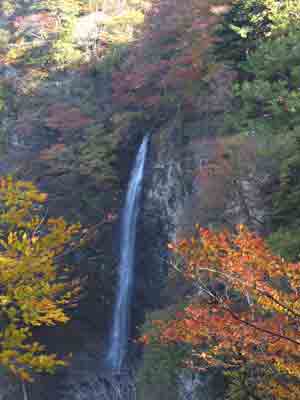 回顧滝