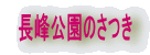 ̂
