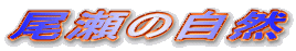 ̎R