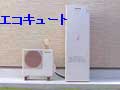 �G�R�L���[�g