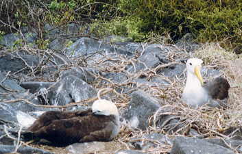 �A�z�E�h��