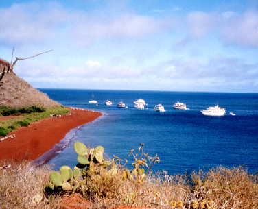 �o���g����