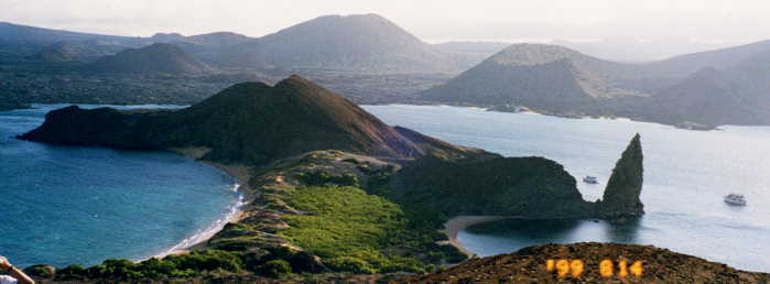 �o���g������