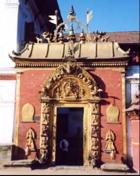 �o�N�^�v��