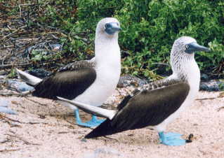 �A�I�A�V�J�c�I�h��