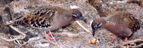 �A�I���o�g