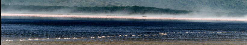 �t���~���S