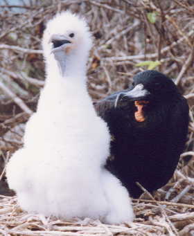 �I�I�O���J���h��