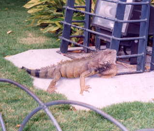 �O�A���L��