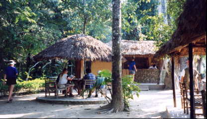 �W�����O�����]�[�g