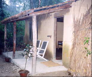 �W�����O�����]�[�g