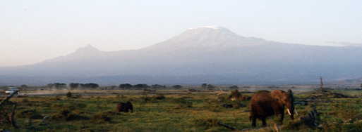 �L���}���W����