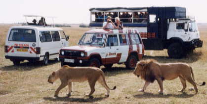 ���C�I��