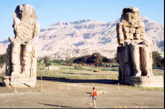 �����m���̋���