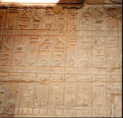 �v���̃����[�t