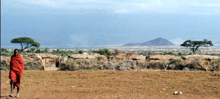 �}�T�C���̑�