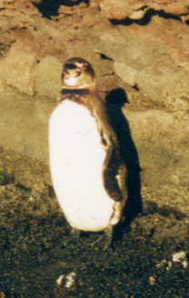 �y���M��