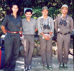 �^�C�K�[�g�b�v�X�݂̂Ȃ���