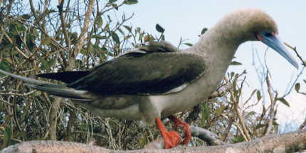 �A�J�A�V�J�c�I�h��