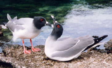 �A�J���J����