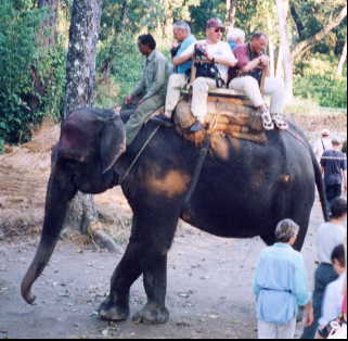 �o���g����