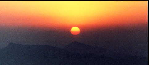 �T�����R�b�g