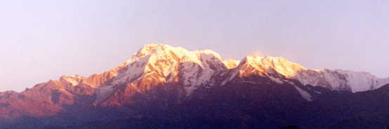 �T�����R�b�g